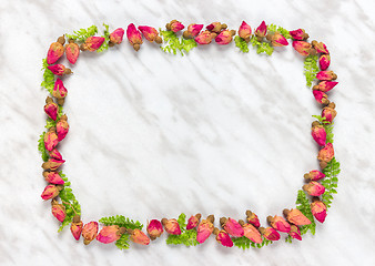 Image showing Frame made of dried roses and green leaves