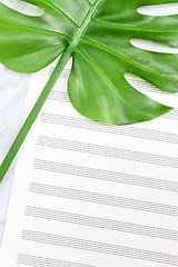 Image showing Empty sheet music paper and tropical palm tree leaf