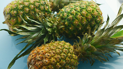 Image showing Whole pineapples on blue background