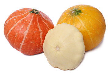 Image showing Pumpkins and pattypan