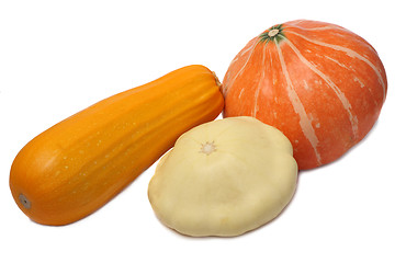 Image showing Squash varieties