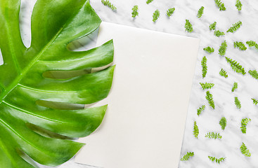 Image showing Blank sheet of paper and green leaves on marble background