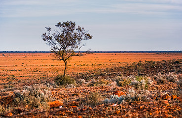 Image showing Australian outback landscape near Broken Hill