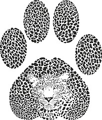 Image showing Leopard Footprint