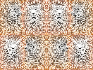 Image showing Leopard texture pattern with head