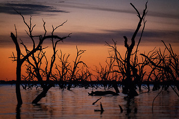 Image showing Lake Pamamaroo