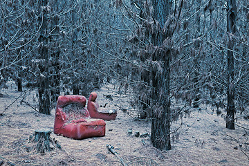 Image showing Abandoned red chair in the wintry pine forest