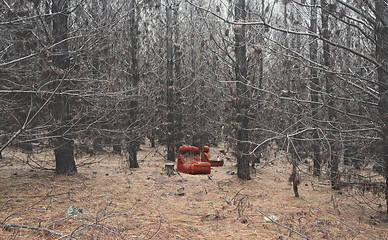 Image showing Old dilapidated chair in wintry pine forest