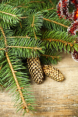 Image showing Christmas fir tree with pinecones.