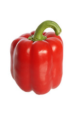 Image showing Red bell pepper