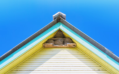 Image showing Nests Of Swallows Under The Roof Of A Village House