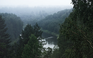 Image showing Atmospheric Foggy Forest Landscape With The River