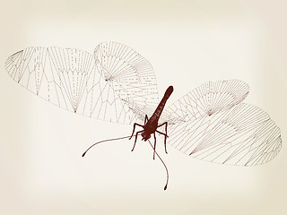 Image showing Line butterfly concept. 3d illustration. Vintage style