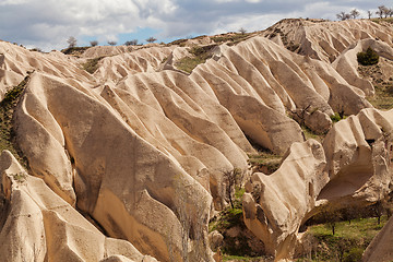 Image showing Rose valley near Goreme, Turkey