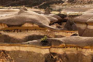 Image showing Eroded stone cliffs