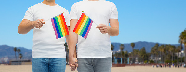 Image showing male couple with gay pride flags holding hands