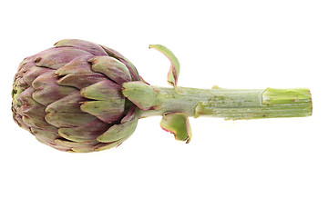 Image showing fresh artichoke isolated