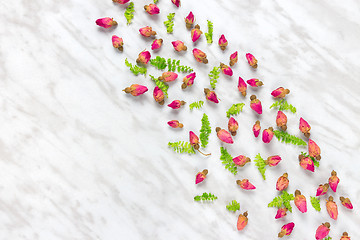 Image showing Dried roses and green leaves on marble background