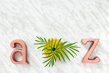 Image showing Palm leaves and metal letters decor