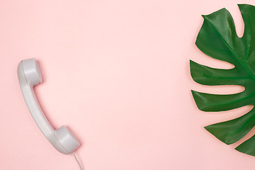 Image showing Phone receiver and Monstera palm leaf on pink background