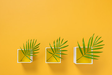 Image showing Boxes with palm leaves on vivid yellow background