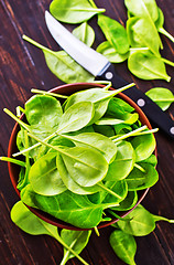 Image showing fresh spinach