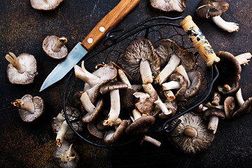 Image showing mushrooms