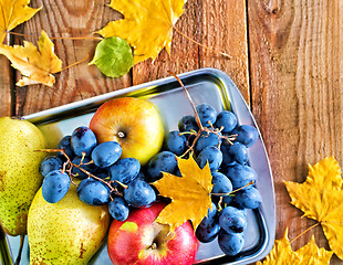 Image showing autumn harvest