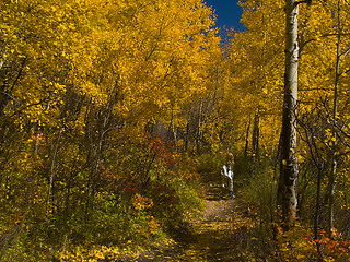 Image showing Child in Awe of Autumn