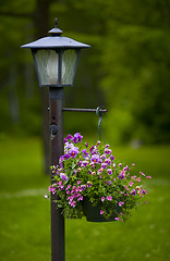 Image showing Lamppost and Purple Flowers