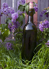 Image showing Lilacs and Wine Bottle