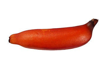 Image showing Red banana on white