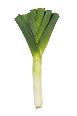 Image showing Leek on white