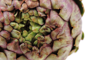 Image showing fresh artichoke texture