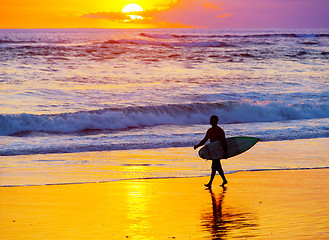 Image showing Surfer at sunset. Bali island