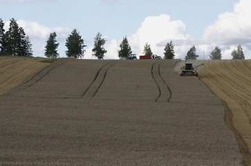 Image showing Harvesting.