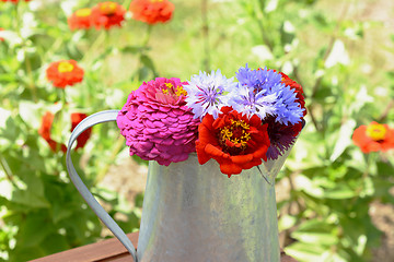 Image showing Bouquet of cornflowers and zinnia flowers in a pitcher 