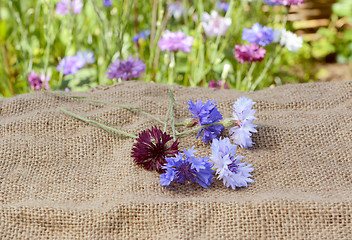 Image showing Freshly cut cornflowers scattered on a hessian sack