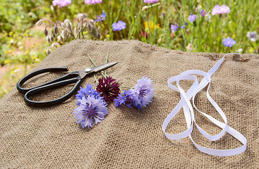 Image showing Ribbon and scissors with freshly cut cornflowers on hessian