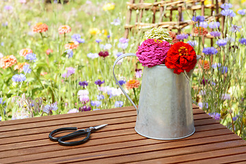 Image showing Scissors next to a rustic jug holding freshly cut zinnias