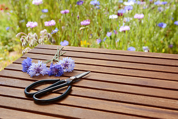 Image showing Scissors with cornflowers on a table in a flower garden