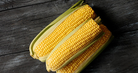 Image showing Raw yellow corncobs on gray table