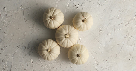 Image showing White ripe pumpkins laid together