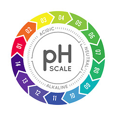 Image showing pH meter for measuring acid alkaline balance. Vector infographics in the circle form with pH scale