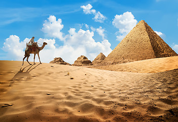 Image showing Camel near pyramids