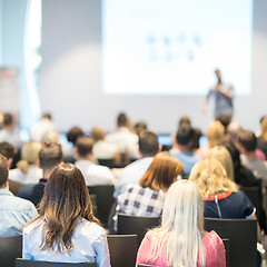 Image showing Business speaker giving a talk at business conference event.