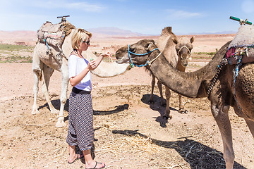 Image showing Young woman with a camels in Morocco.