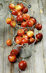 Image showing Sweet Maraschino Cherries