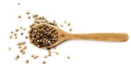 Image showing Coriander Seeds in Wooden Spoon