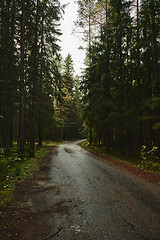 Image showing Asphalt road going through dark conifer forest